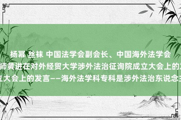 杨幂 丝袜 中国法学会副会长、中国海外法学会会长、中国政法大学教师黄进在对外经贸大学涉外法治征询院成立大会上的发言——海外法学科专科是涉外法治东说念主才培养的平台