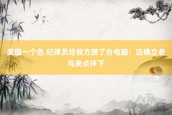 美国一个色 纪律员给我方攒了台电脑：这确立老鸟来点评下