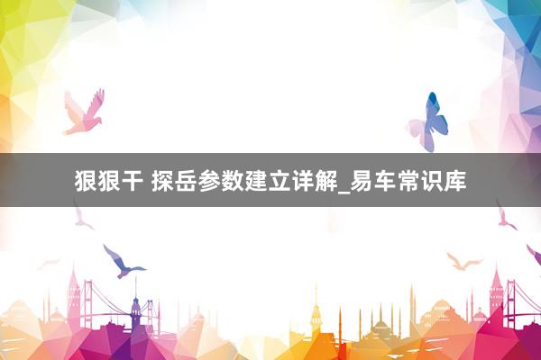 狠狠干 探岳参数建立详解_易车常识库