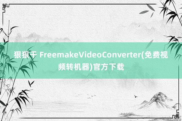 狠狠干 FreemakeVideoConverter(免费视频转机器)官方下载