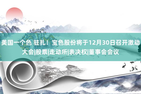 美国一个色 驻扎！宝色股份将于12月30日召开激动大会|股票|走动所|表决权|董事会会议