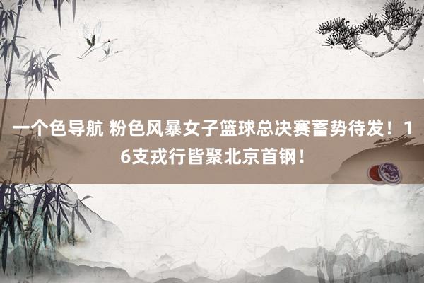 一个色导航 粉色风暴女子篮球总决赛蓄势待发！16支戎行皆聚北京首钢！