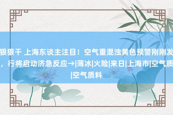 狠狠干 上海东谈主注目！空气重混浊黄色预警刚刚发布，行将启动济急反应→|薄冰|火险|来日|上海市|空气质料