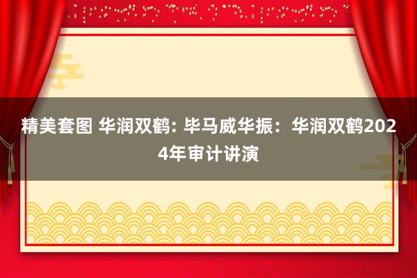 精美套图 华润双鹤: 毕马威华振：华润双鹤2024年审计讲演