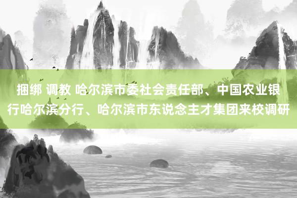 捆绑 调教 哈尔滨市委社会责任部、中国农业银行哈尔滨分行、哈尔滨市东说念主才集团来校调研