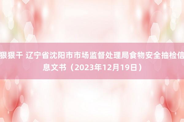 狠狠干 辽宁省沈阳市市场监督处理局食物安全抽检信息文书（2023年12月19日）