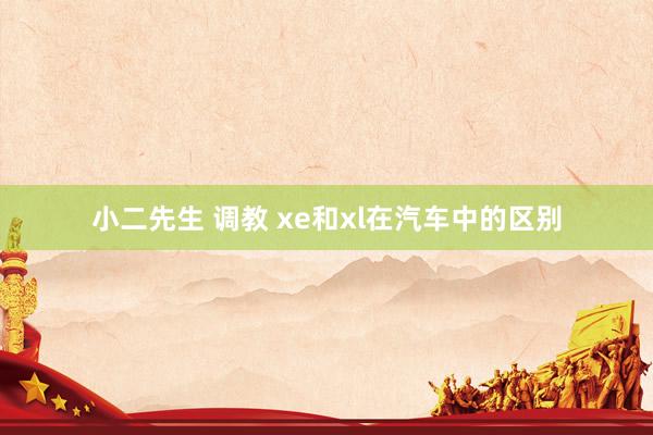 小二先生 调教 xe和xl在汽车中的区别
