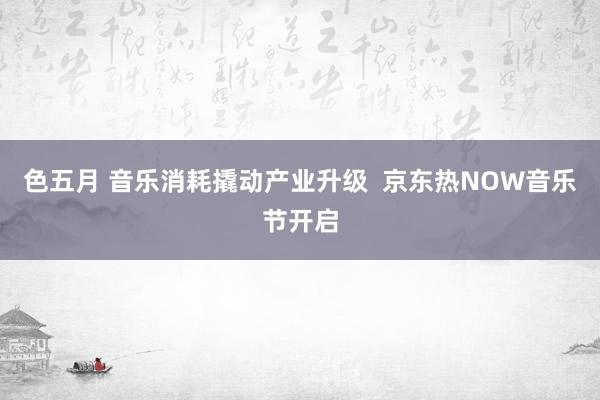 色五月 音乐消耗撬动产业升级  京东热NOW音乐节开启