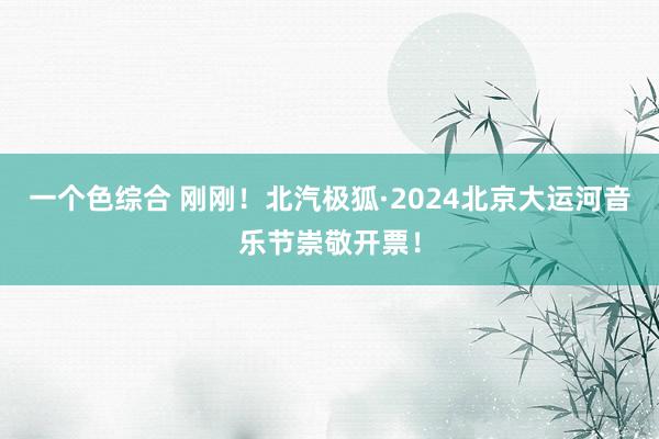 一个色综合 刚刚！北汽极狐·2024北京大运河音乐节崇敬开票！