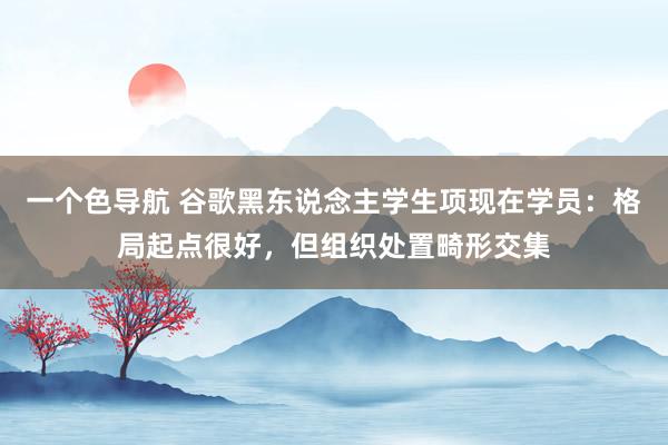 一个色导航 谷歌黑东说念主学生项现在学员：格局起点很好，但组织处置畸形交集