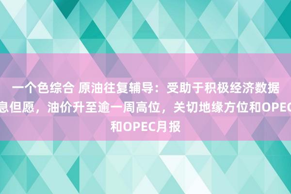 一个色综合 原油往复辅导：受助于积极经济数据和降息但愿，油价升至逾一周高位，关切地缘方位和OPEC月报