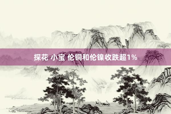 探花 小宝 伦铜和伦镍收跌超1%