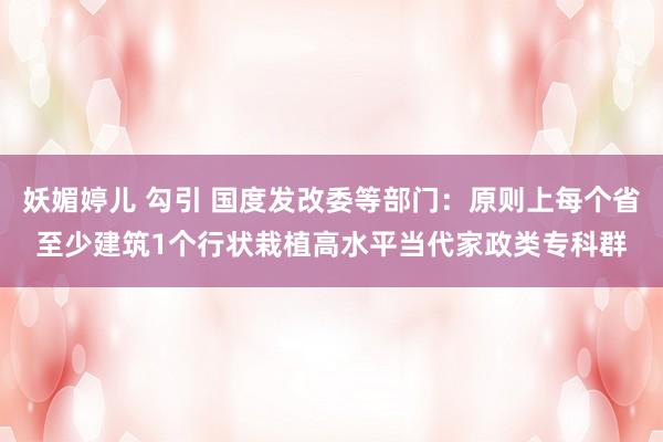 妖媚婷儿 勾引 国度发改委等部门：原则上每个省至少建筑1个行状栽植高水平当代家政类专科群