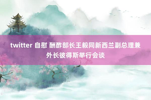 twitter 自慰 酬酢部长王毅同新西兰副总理兼外长彼得斯举行会谈