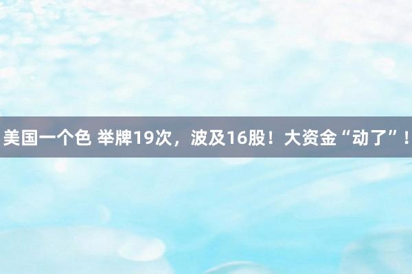 美国一个色 举牌19次，波及16股！大资金“动了”！