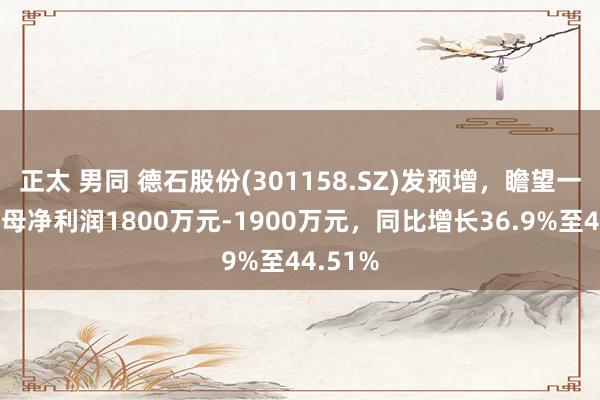 正太 男同 德石股份(301158.SZ)发预增，瞻望一季度归母净利润1800万元-1900万元，同比增长36.9%至44.51%