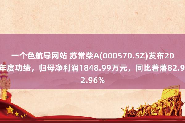 一个色航导网站 苏常柴A(000570.SZ)发布2024年度功绩，归母净利润1848.99万元，同比着落82.96%